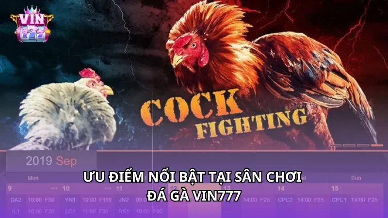 Ưu điểm nổi bật tại sân chơi Đá gà Vin777